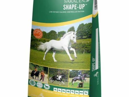 Saracen Shape Up Low Calorie Mix 20Kg Discount