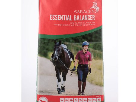 Saracen Essential Balancer 20Kg Discount