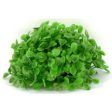 Cheeko Aqua Dreamscapes Aquatic Plant - Dense Half Grass Ball 14cm Fashion