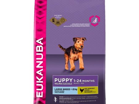 Eukanuba | Dry Dog Food | Puppy & Junior Large Breed | Chicken - 12kg Online now