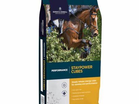 Dodson & Horrell Performance Staypower Cubes 20Kg on Sale