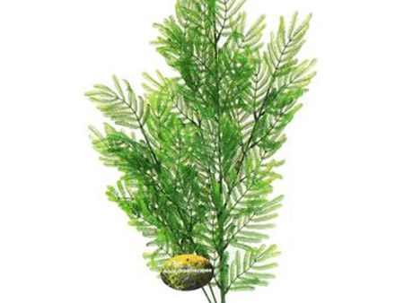 Cheeko Aqua Dreamscapes Aquatic Plant - Feathered Fern 50cm For Sale