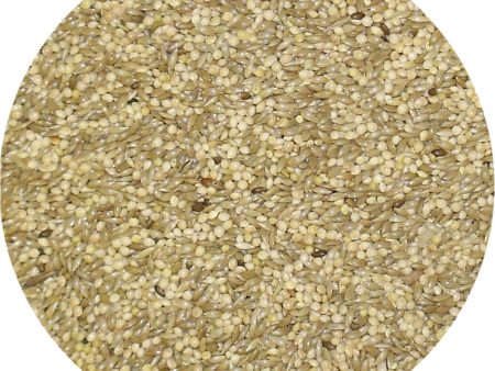 Bamfords Budgie 50 50 Classic Bird Seed Mix - 20kg on Sale