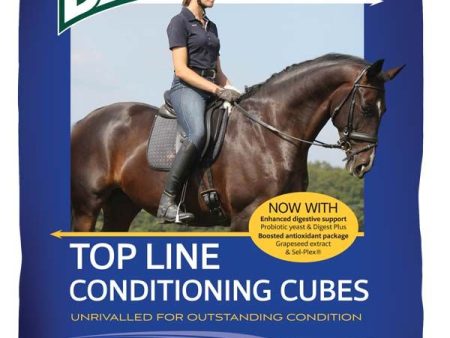 Baileys No.4 Top Line Conditioning Cubes 20Kg For Discount