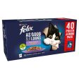 Felix Pouch As Good As It Looks Mixed Selection 40 x 100g For Cheap