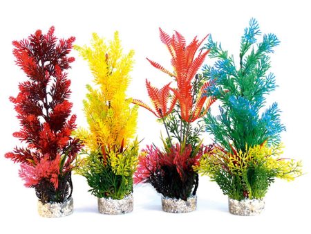 Rosewood Sydeco Assorted Coloured Aquaplant - Extra Large on Sale