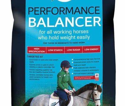 Baileys No.19 Performance Balancer 20Kg For Sale