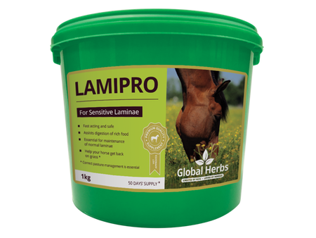 Global Herbs LamiPro Powder & Liquid Online