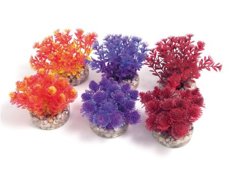 Rosewood Sydeco Assorted Coloured Aquaplant - Nano Bush Cheap