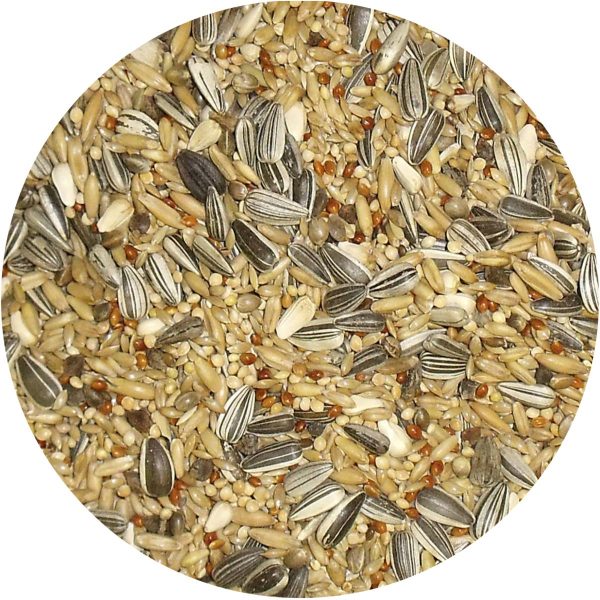 Bamfords Premium Parakeet & Cockatiel Seed Mix - 20kg For Discount