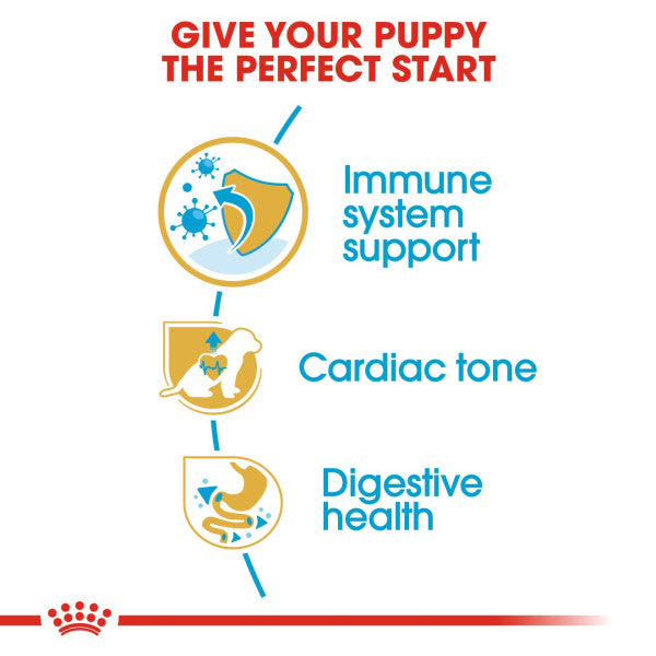 Royal Canin | Breed Health Nutrition | Dry Dog Food | Junior Cavalier King Charles Spaniel - 1.5kg Online Hot Sale