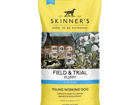 Skinners Field & Trial Puppy Online Sale