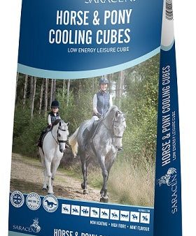 Saracen Horse & Pony Cooling Cubes 20Kg For Discount