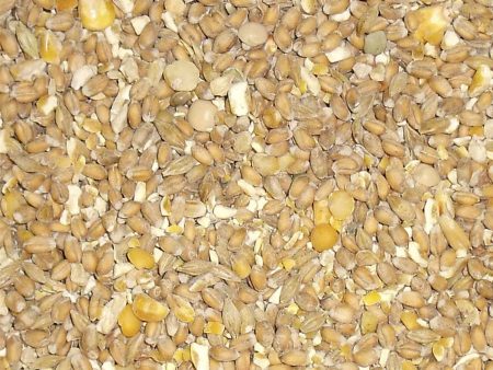 Bamfords Mixed Poultry Grain 25kg Online