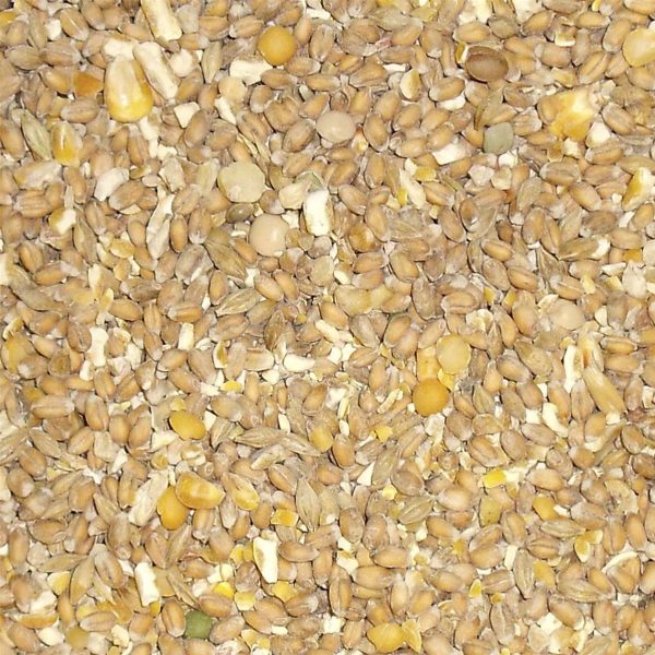 Bamfords Mixed Poultry Grain 25kg Online