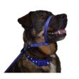 STAFFIE&STRAY RESCUE DONATION - Gencon All In One Left Handed Blue White Cheap