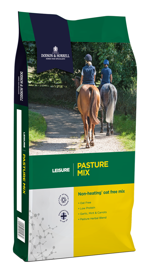 Dodson & Horrell Pasture Mix 20Kg on Sale