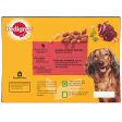 Pedigree | Senior Wet Dog Food Pouches | Variety In Jelly - 12 x 100g Online now