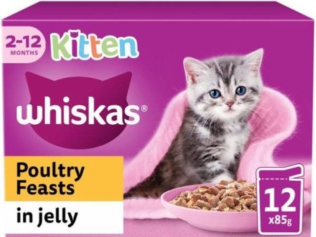 Whiskas | Wet Cat Food Pouches | Kitten | Poultry Feasts in Jelly - 12 x 100g Fashion