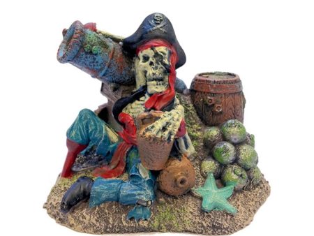 Pirate Remains Aquarium Ornament For Cheap