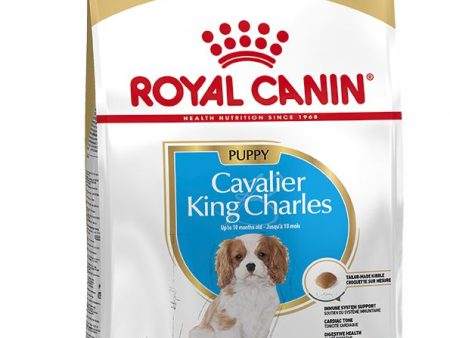 Royal Canin | Breed Health Nutrition | Dry Dog Food | Junior Cavalier King Charles Spaniel - 1.5kg Online Hot Sale