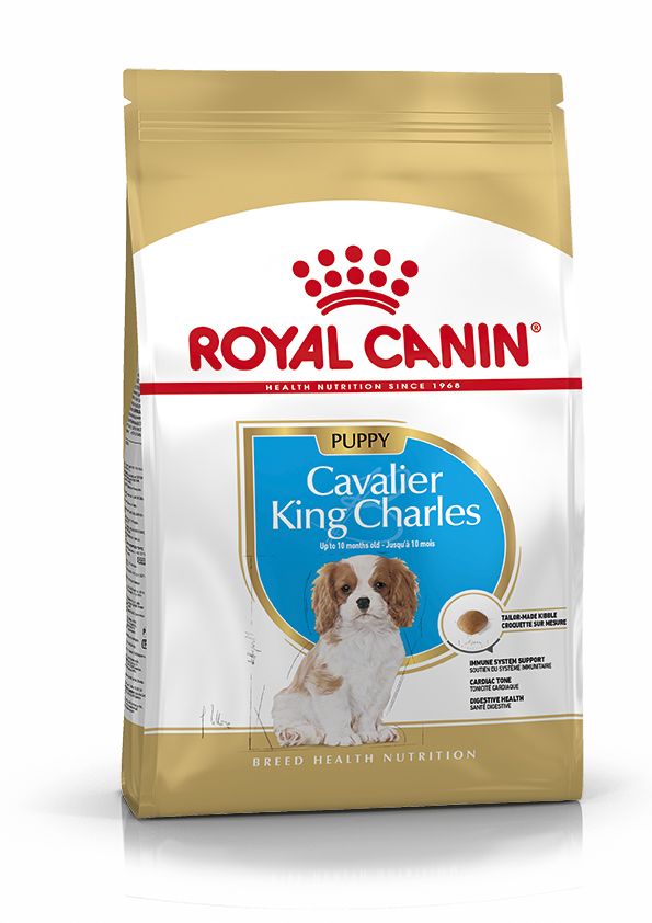 Royal Canin | Breed Health Nutrition | Dry Dog Food | Junior Cavalier King Charles Spaniel - 1.5kg Online Hot Sale