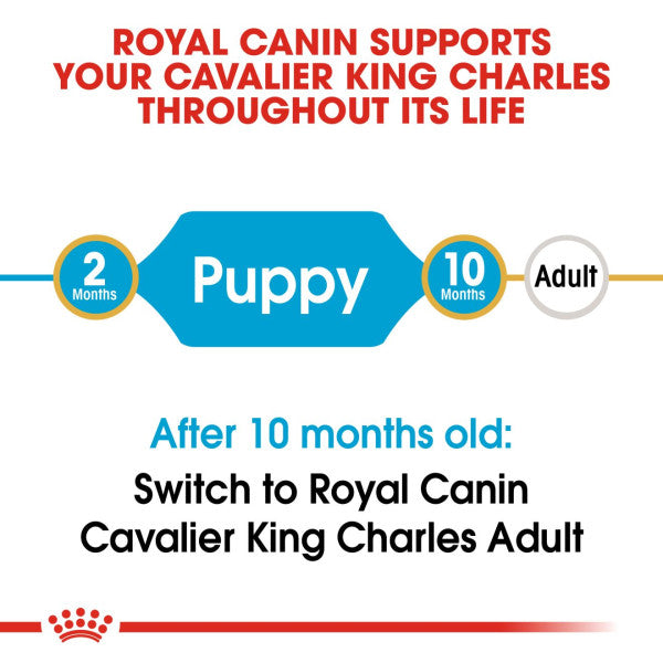 Royal Canin | Breed Health Nutrition | Dry Dog Food | Junior Cavalier King Charles Spaniel - 1.5kg Online Hot Sale