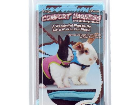 Comfort Harness | Small Pet Enrichment | Harness with Stretch Stroller - Large For Sale