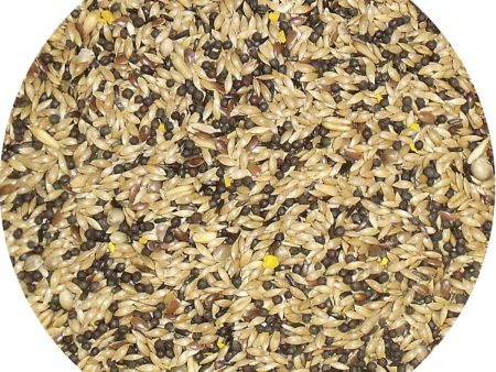 Bamfords Premium Super Canary Seed Mix With Egg - 20Kg Sale