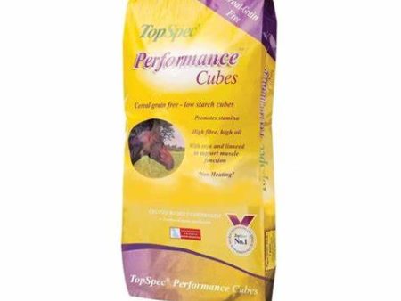 TopSpec Performance Cubes 20Kg For Cheap