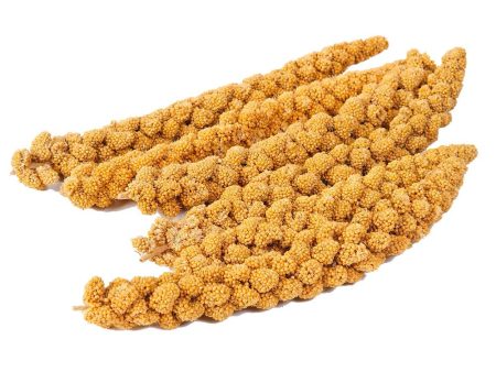 Bamfords Chinese Millet Spray Bird Treat - 15kg Sale