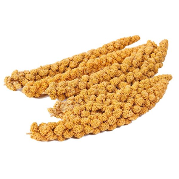 Bamfords Chinese Millet Spray Bird Treat - 15kg Sale