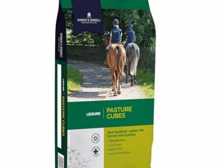 Dodson & Horrell Pasture Cubes 20Kg For Cheap