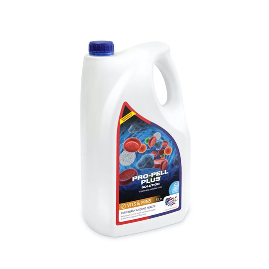 Equine America Propell Plus Liquid on Sale