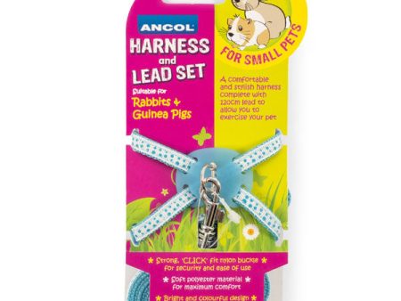 Ancol | Small Pet Enrichment | Rabbit Harness & Lead Set - Blue Online Hot Sale