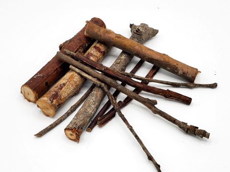 Eucalyptus Chew Sticks For Cheap