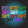 307 Decals (NEW and updated) For Sale