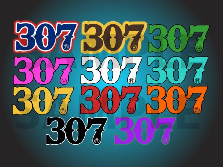 307 Decals (NEW and updated) For Sale